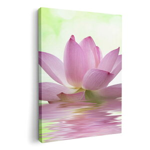 A[gpl G G  IׂTCY 594×841mm A1 _  ʐ^ tHg CeA  000147 @@ʁ@