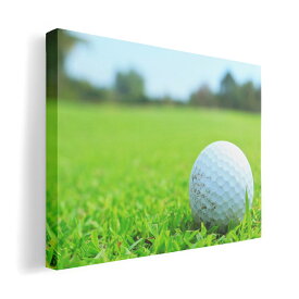 アートパネル 絵 絵画 飾り 選べるサイズ 594×841mm A1 モダン 玄関 写真 フォト インテリア おしゃれ 000255 ゴルフ　芝生　スポーツ