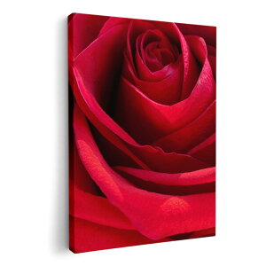 A[gpl G G  IׂTCY 594×841mm A1 _  ʐ^ tHg CeA  000825 KN@