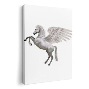 A[gpl G G  IׂTCY 594×841mm A1 _  ʐ^ tHg CeA  000880 yKTX@n