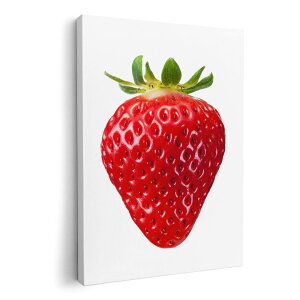 A[gpl G G  IׂTCY 594×841mm A1 _  ʐ^ tHg CeA  000919 C`S@t[c