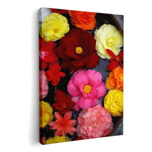 A[gpl G G  IׂTCY 594×841mm A1 _  ʐ^ tHg CeA  000953 ԁ@Jt