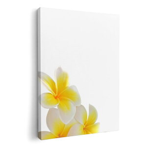 A[gpl G G  IׂTCY 594×841mm A1 _  ʐ^ tHg CeA  001027 ԁ@vA