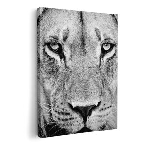 A[gpl G G  IׂTCY 594×841mm A1 _  ʐ^ tHg CeA  001051 CI@