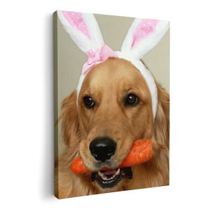 A[gpl G G  IׂTCY 594×841mm A1 _  ʐ^ tHg CeA  001111 @S[f@