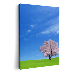 A[gpl G G  IׂTCY 594×841mm A1 _  ʐ^ tHg CeA  002466 iF@i@