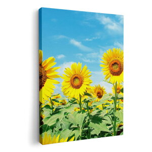 A[gpl G G  IׂTCY 594×841mm A1 _  ʐ^ tHg CeA  002501 ԁ@Ђ܂@ʐ^