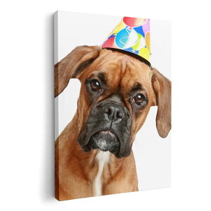 A[gpl G G  IׂTCY 594×841mm A1 _  ʐ^ tHg CeA  002612 @@ʐ^