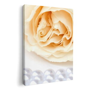 A[gpl G G  IׂTCY 594×841mm A1 _  ʐ^ tHg CeA  002785 ԁ@p[@ʐ^