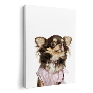 A[gpl G G  IׂTCY 594×841mm A1 _  ʐ^ tHg CeA  002884 @@ʐ^