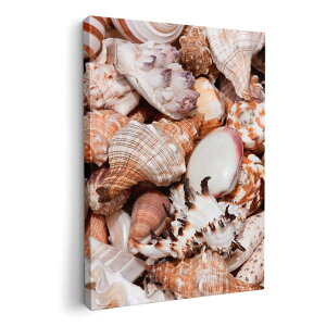 A[gpl G G  IׂTCY 594×841mm A1 _  ʐ^ tHg CeA  002925 C@Lk@ʐ^