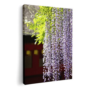 A[gpl G G  IׂTCY 594×841mm A1 _  ʐ^ tHg CeA  003257 ԁ@ʐ^@iF@i