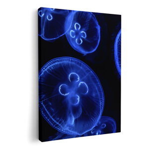 A[gpl G G  IׂTCY 594×841mm A1 _  ʐ^ tHg CeA  003336 炰@C@ʐ^