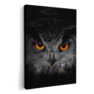 A[gpl G G  IׂTCY 594×841mm A1 _  ʐ^ tHg CeA  003435 @@ʐ^