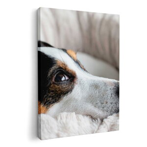 A[gpl G G  IׂTCY 594×841mm A1 _  ʐ^ tHg CeA  022865 @ʐ^