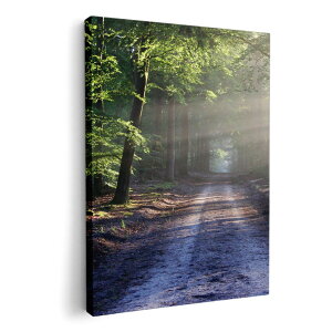 A[gpl G G  IׂTCY 594×841mm A1 _  ʐ^ tHg CeA  022911 i@؁@ʐ^