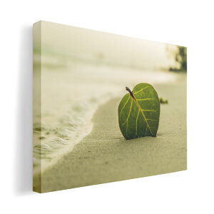 A[gpl G G  IׂTCY 594×841mm A1 _  ʐ^ tHg CeA  022945 C@tρ@ʐ^