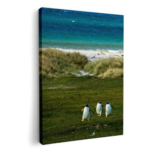 A[gpl G G  IׂTCY 594×841mm A1 _  ʐ^ tHg CeA  022981 ʐ^@iF@C@