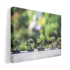 A[gpl G G  IׂTCY 594×841mm A1 _  ʐ^ tHg CeA  023001 ~́@A@ʐ^