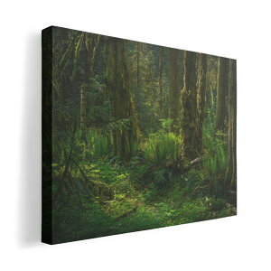 A[gpl G G  IׂTCY 594×841mm A1 _  ʐ^ tHg CeA  033720 ʐ^ Gؗ X