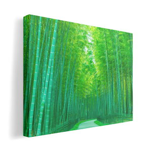 A[gpl G G  IׂTCY 594×841mm A1 _  ʐ^ tHg CeA  033740 ʐ^ | a