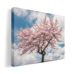 TCYIׂIA[gpl G G  IׂTCY A1 A2 A3 A4 A5 _  ʐ^ tHg CeA  035904@i  t  t 