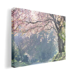 TCYIׂIA[gpl G G  IׂTCY A1 A2 A3 A4 A5 _  ʐ^ tHg CeA  035907@i  t  t 