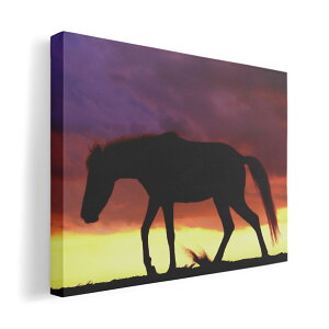 TCYIׂIA[gpl G G  IׂTCY A1 A2 A3 A4 A5 ` _  ʐ^ tHg CeA 036784 ߔN ʐ^ n x VN 2026N