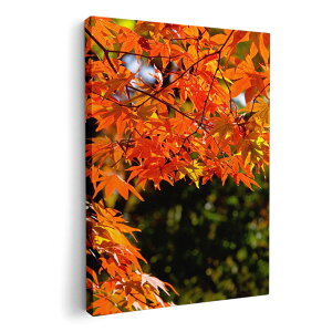 A[gpl G G  IׂTCY 594×841mm A1 _  ʐ^ tHg CeA  004615 gt@H@i