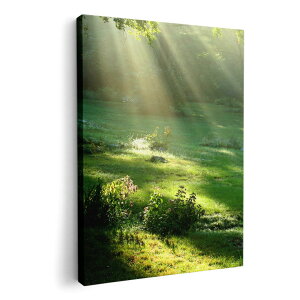 A[gpl G G  IׂTCY 594×841mm A1 _  ʐ^ tHg CeA  004644 X@ʐ^@iF