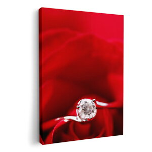 A[gpl G G  IׂTCY 594×841mm A1 _  ʐ^ tHg CeA  005136 ԁ@wց@KN