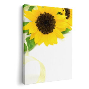 A[gpl G G  IׂTCY 594×841mm A1 _  ʐ^ tHg CeA  005164 Ђ܂@ʐ^@Vv