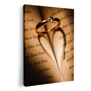 A[gpl G G  IׂTCY 594×841mm A1 _  ʐ^ tHg CeA  005200 wց@LOVE@