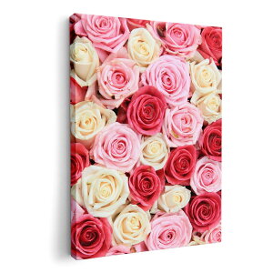 A[gpl G G  IׂTCY 594×841mm A1 _  ʐ^ tHg CeA  005272 KN@sN@@