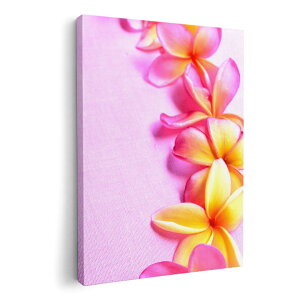 A[gpl G G  IׂTCY 594×841mm A1 _  ʐ^ tHg CeA  005418 ʐ^@ԁ@t[@