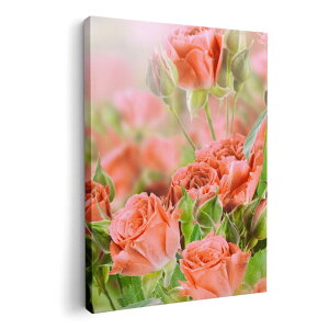 A[gpl G G  IׂTCY 594×841mm A1 _  ʐ^ tHg CeA  005491 ʐ^@ԁ@t[