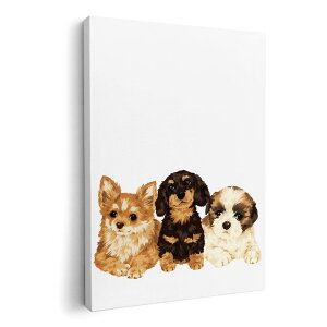 A[gpl G G  IׂTCY 594×841mm A1 _  ʐ^ tHg CeA  005734 @@CXg