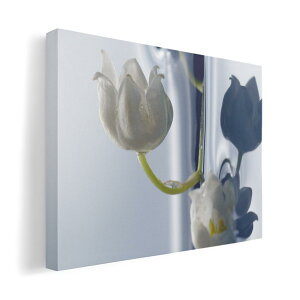 A[gpl G G  IׂTCY 594×841mm A1 _  ʐ^ tHg CeA  005826 ԁ@t[@ʐ^