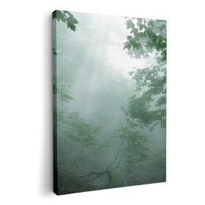 A[gpl G G  IׂTCY 594×841mm A1 _  ʐ^ tHg CeA  005872 ʐ^@X@