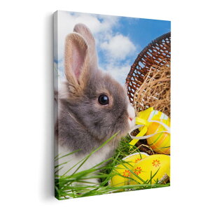 A[gpl G G  IׂTCY 594×841mm A1 _  ʐ^ tHg CeA  006581 ʐ^@@