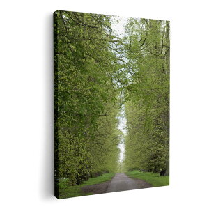 A[gpl G G  IׂTCY 594×841mm A1 _  ʐ^ tHg CeA  006601 ʐ^@X@A