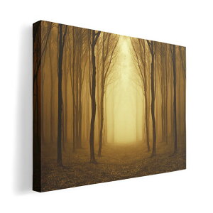 A[gpl G G  IׂTCY 594×841mm A1 _  ʐ^ tHg CeA  007665 ʐ^@؁@A@X