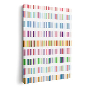 A[gpl G G  IׂTCY 594×841mm A1 _  ʐ^ tHg CeA  008056 C{[@Jt@XgCv@͗l