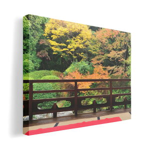 A[gpl G G  IׂTCY 594×841mm A1 _  ʐ^ tHg CeA  008066 ʐ^@a@@H@gt