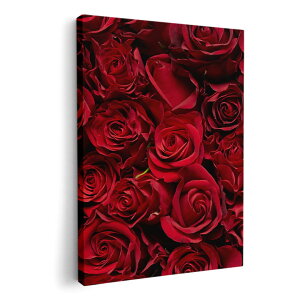 A[gpl G G  IׂTCY 594×841mm A1 _  ʐ^ tHg CeA  008204 ԁ@t[@ʐ^@KN@ԁ@bh