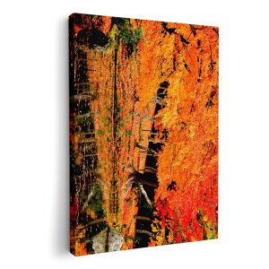 A[gpl G G  IׂTCY 594×841mm A1 _  ʐ^ tHg CeA  008505 ʐ^@H@gt@