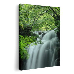 A[gpl G G  IׂTCY 594×841mm A1 _  ʐ^ tHg CeA  008874 ʐ^@@X