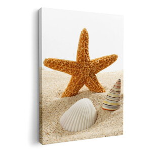 A[gpl G G  IׂTCY 594×841mm A1 _  ʐ^ tHg CeA  009536 Lk@C@ʐ^