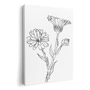 A[gpl G G  IׂTCY 594×841mm A1 _  ʐ^ tHg CeA  009712 t[@ԁ@@