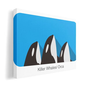 A[gpl G G  IׂTCY 594×841mm A1 _  ʐ^ tHg CeA  010994 CJ@C@